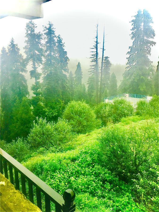 La Riqueza #mountain View # Near To Kodia Forest Jungle Saafari # 05 Mins From Adventure Activities Kanatal